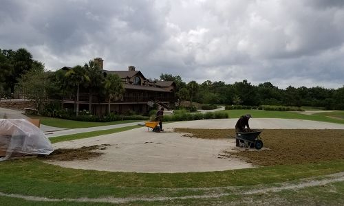 Sprigs Being Spread Thick  Putting Green
