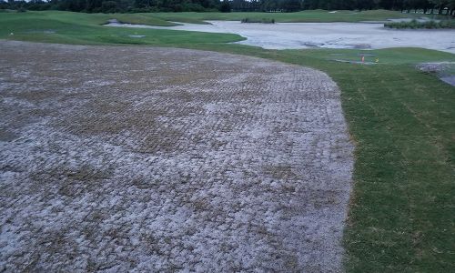 Sprigs Knitting In And Rooting